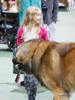 The Leonberger Club