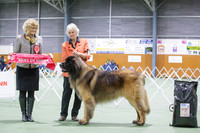 Best in Show, and a few more