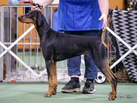 KBP18199