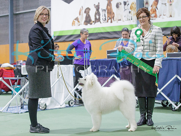 KBP18785