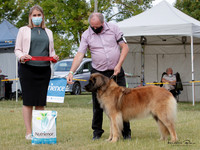 KBP24813