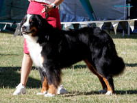 KB016557