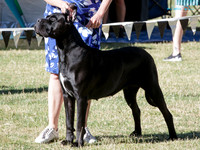 KB016586