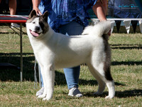 KB016599