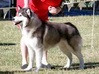 KB016614