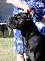 KB016586-2