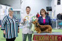 Best in Show
