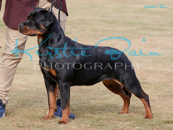 KB017392