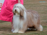 KB017463
