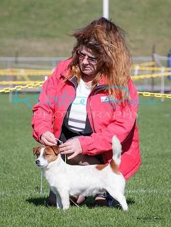 KBP12479