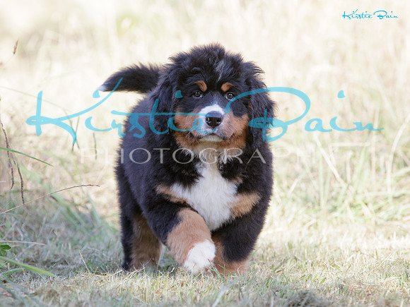 KB010924
