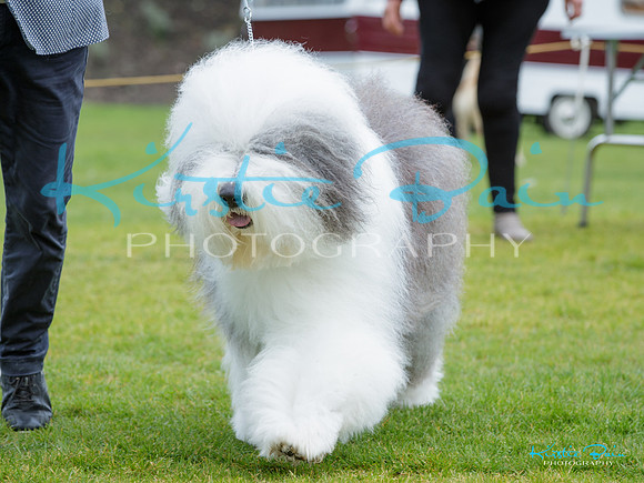 KBP14787