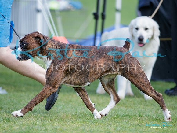 KBP15004