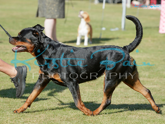 KB013763
