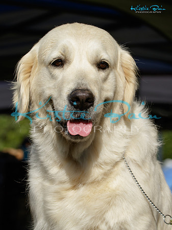 KBS10229