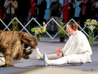 Paws to Music