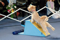 Flygility Demonstration