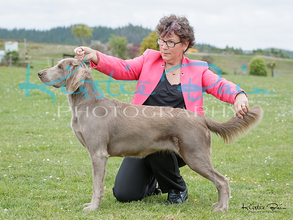 KBP13583