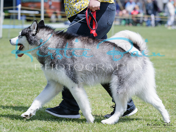 KBP14587