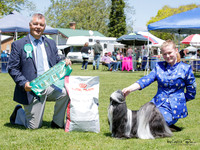 Best in Show