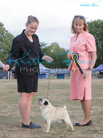 KB013017