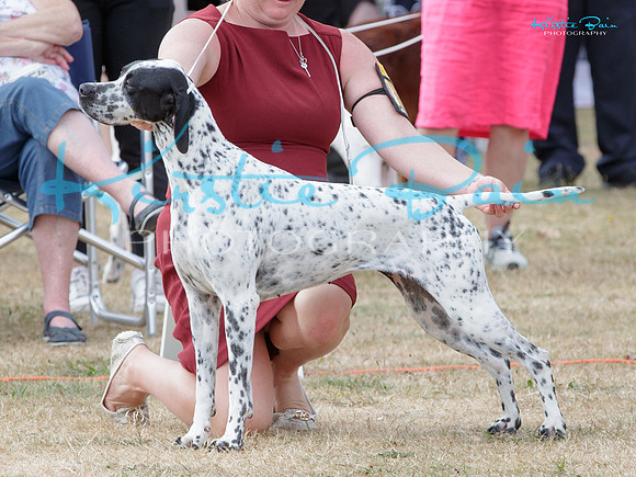 KB013222