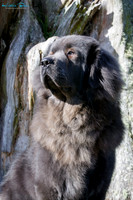 KBP14922