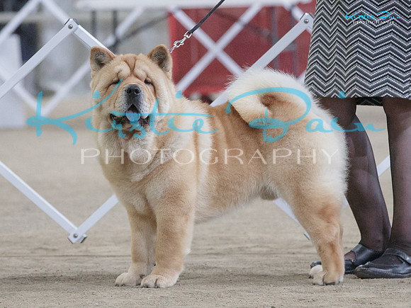 KB012812