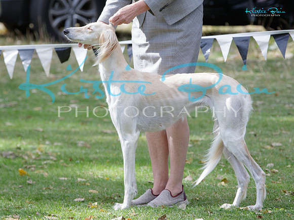 KB015931