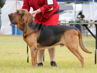 KB016709