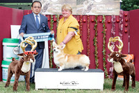 Best in Show