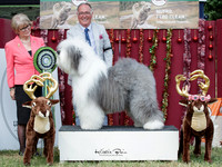 Best in Show