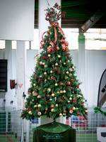 Hutt Valley Kennel Association