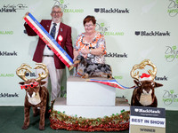 Best in Show