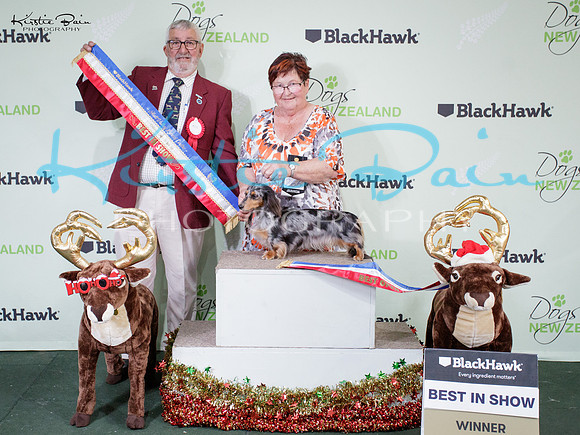 KBP13411