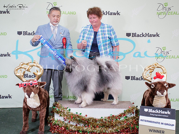 KBP14121
