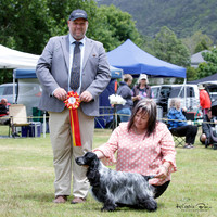 Best in Show
