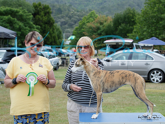 KBP14995