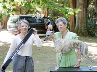 Ribbon Parade