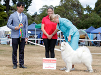 KBP17471