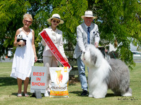 Best in Show
