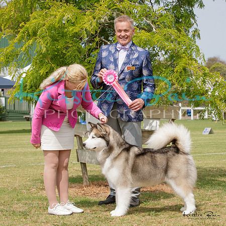KBP10015
