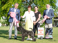 Best in Show
