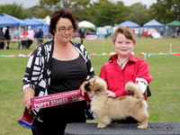KBP11772