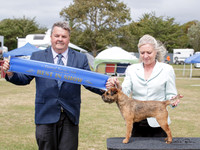 Best in Show