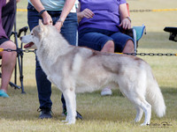 KBP14550