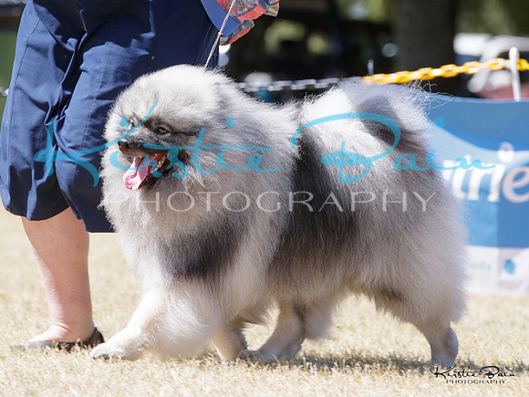 KBP16709