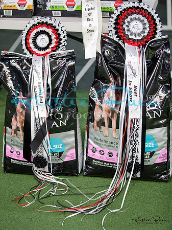 KBP17196