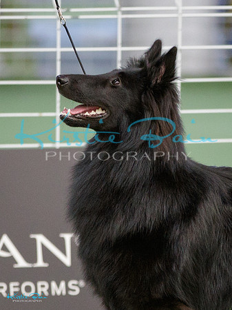 KBP17387