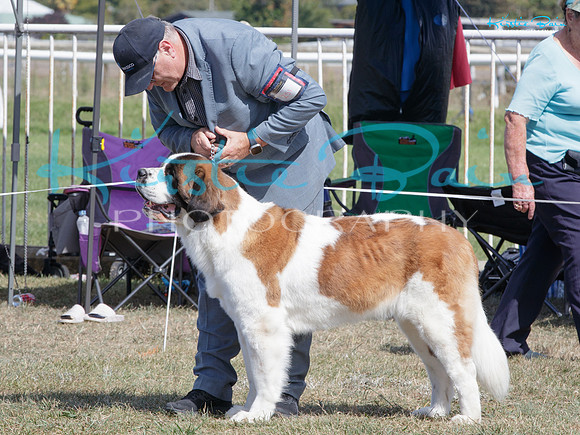 KB014858